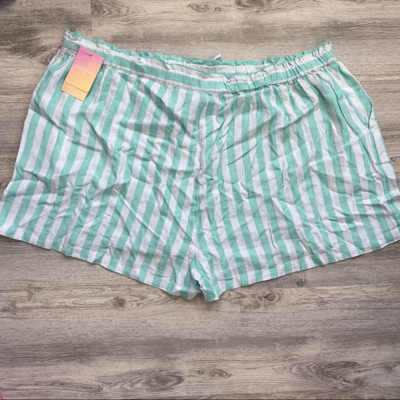 Plus Size Stoney Clover x Target shorts - Picture 3 of 3